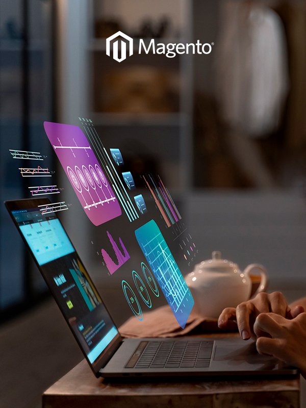 Magento Web Development Services